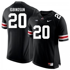 Men Davison Igbinosun Black Ohio State Buckeyes #20 Football Alumni Jersey 442364-576