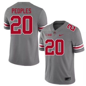Men James Peoples Grey Ohio State Buckeyes #20 Football 2025 Jersey 763713-804