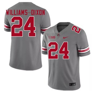 Men Sam Williams-Dixon Grey Ohio State Buckeyes #24 Football Stitched Jersey 764795-105