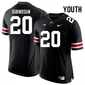 Youth Davison Igbinosun Black Ohio State Buckeyes #20 Football Game Jersey 227898-857