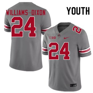 Youth Sam Williams-Dixon Grey Ohio State Buckeyes #24 Football Replica Jersey 742883-856